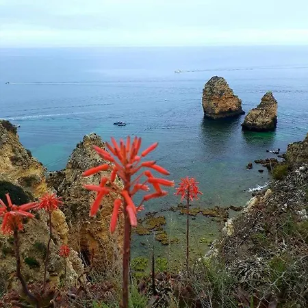 Maravilha Da Costa